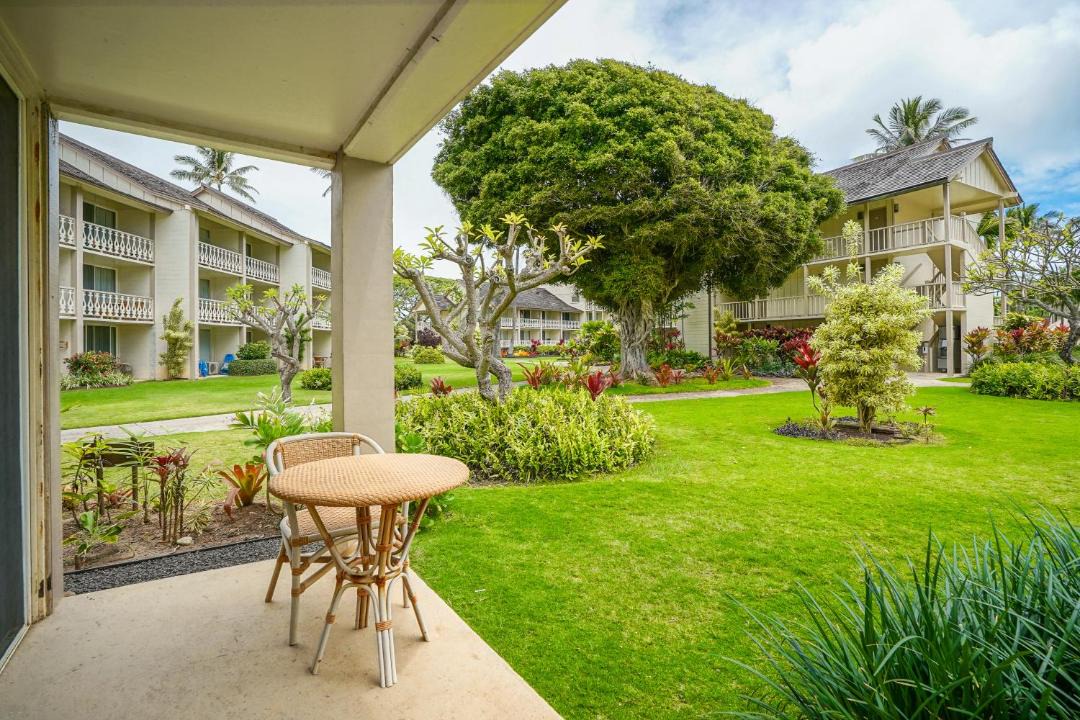 Photo of Others in Wailua