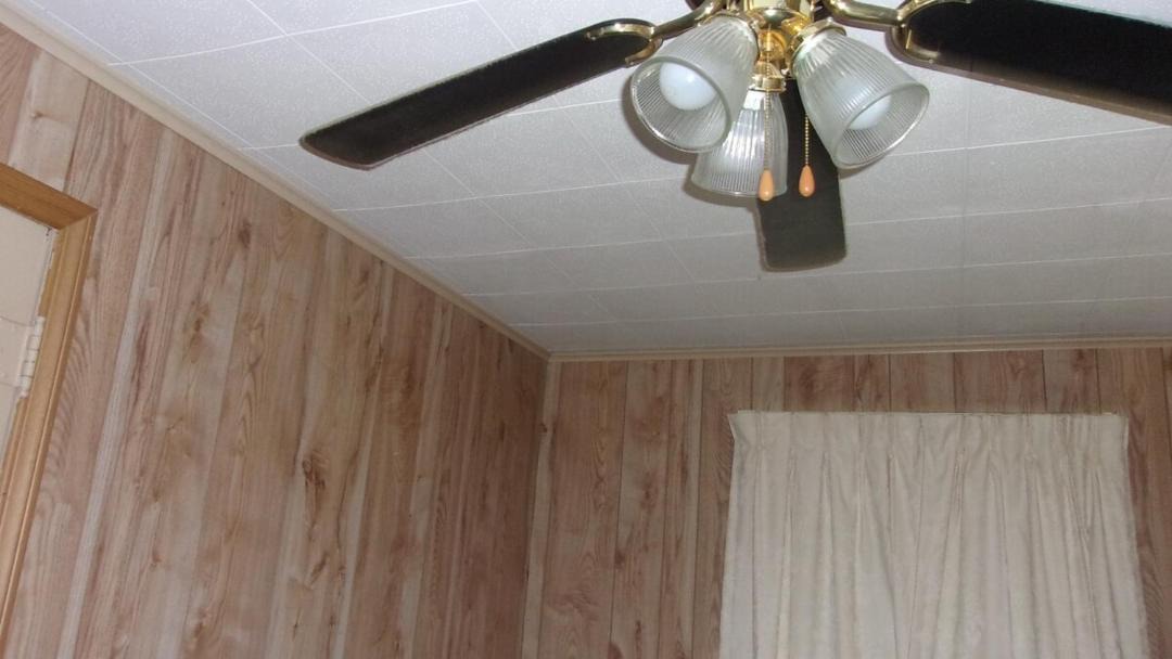 Photo of Others in Massena