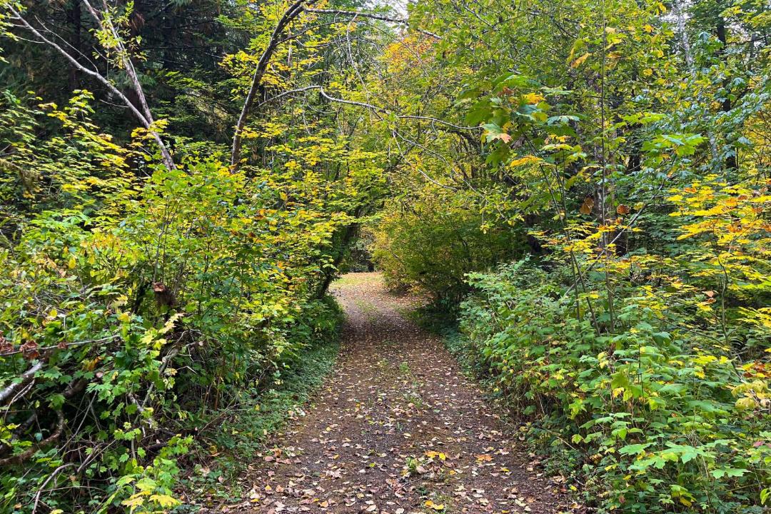 Photo of Outdoor in Mason County