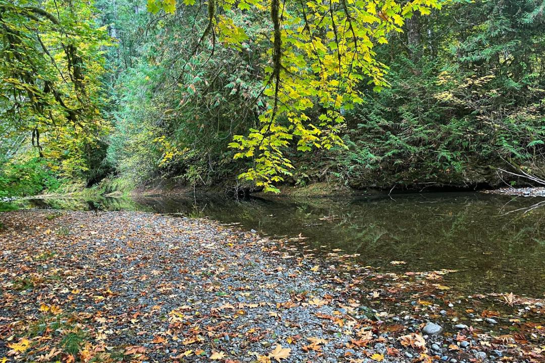 Photo of Others in Mason County