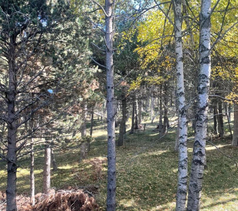 Photo of Others in Eyne 2600