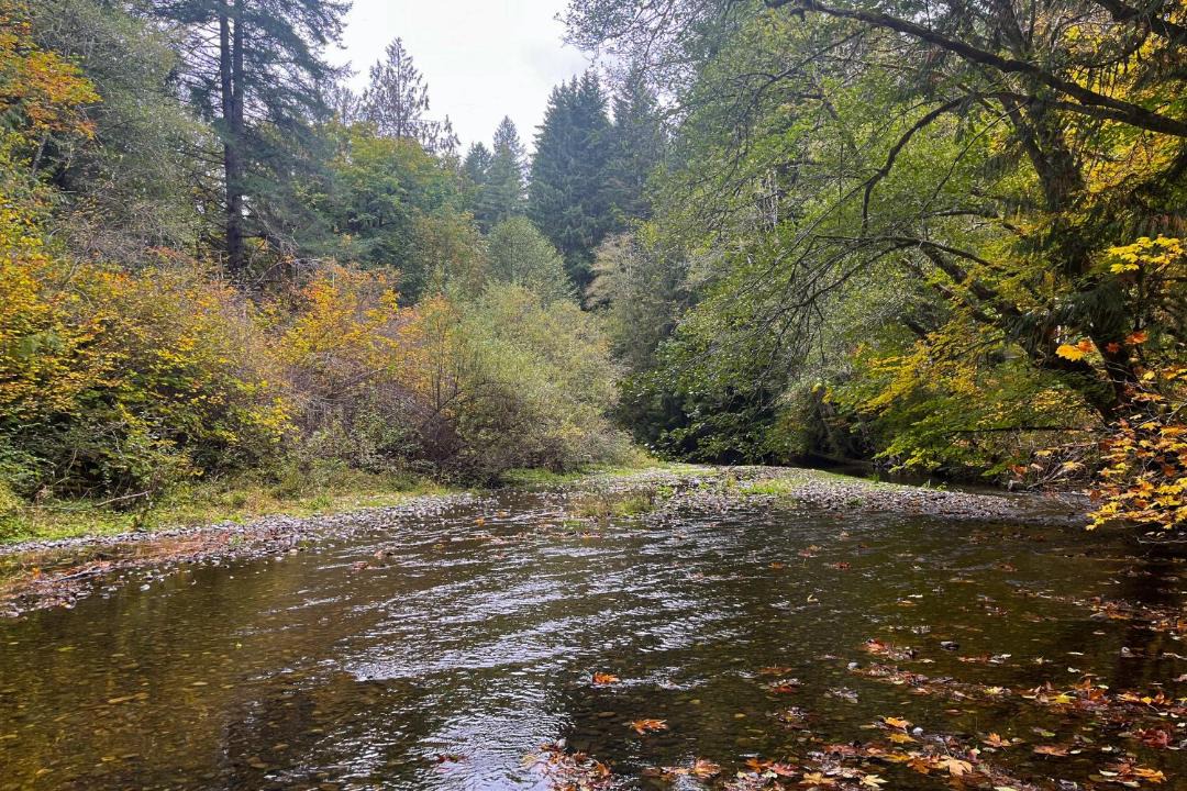 Photo of Others in Mason County