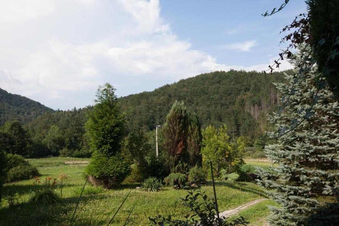 Photo of Others in Ogulin