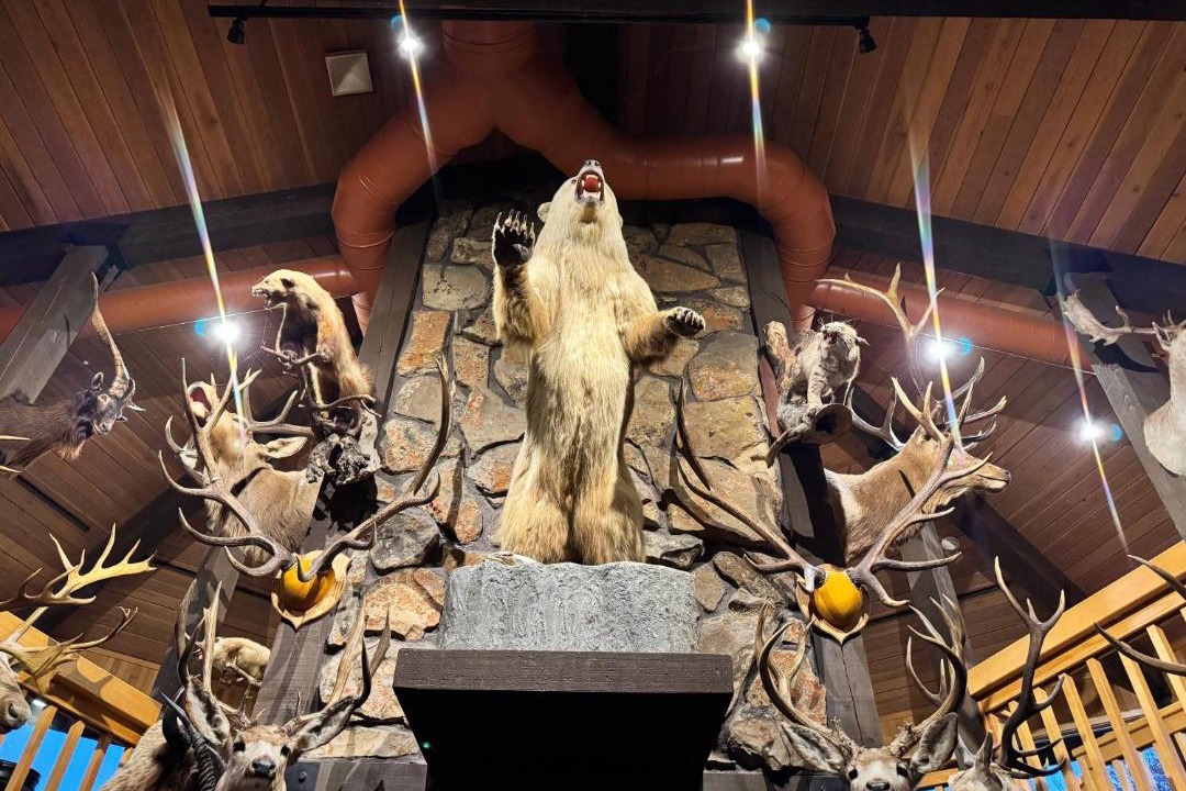 Photo of Others in Thermopolis