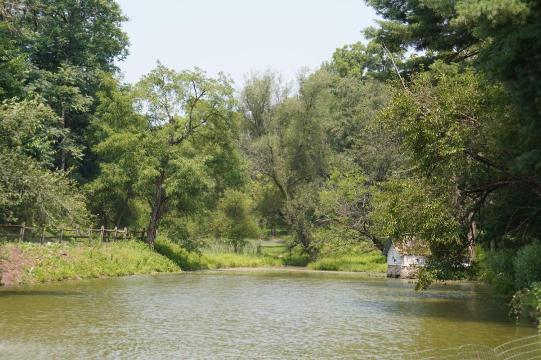Photo of Others in Colonial Park