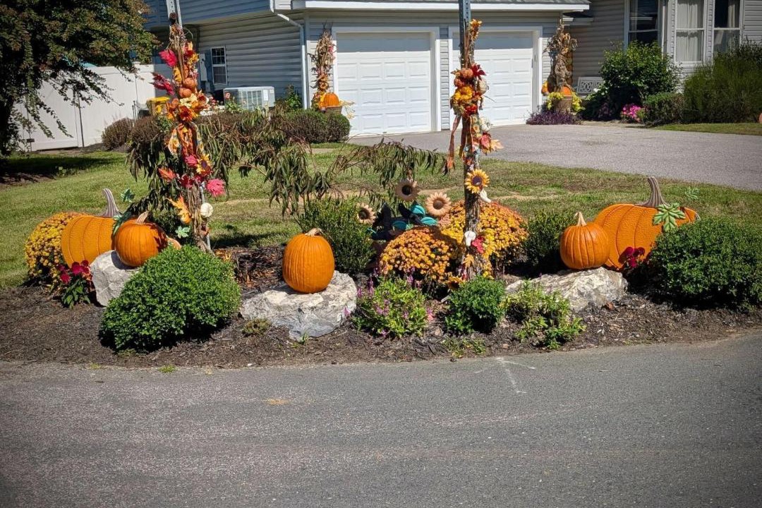 Photo of Others in Cape Saint Claire