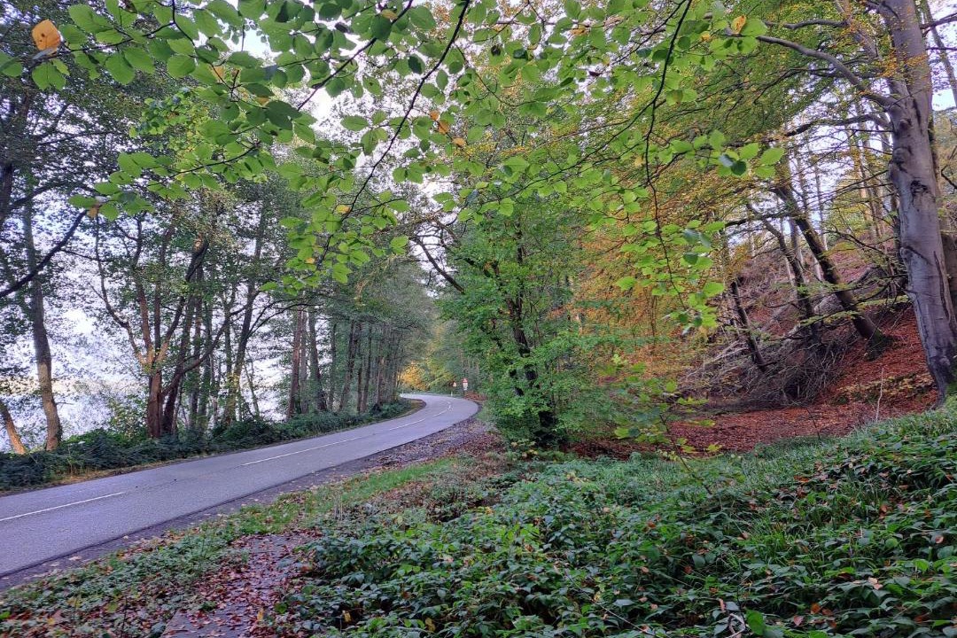 Photo of Others in Vejle