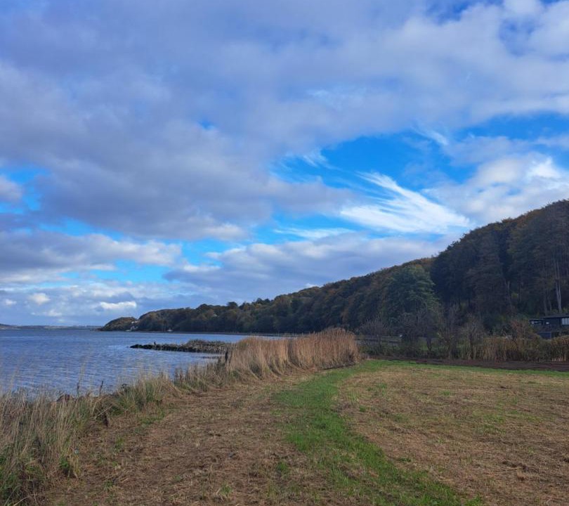 Photo of Others in Vejle