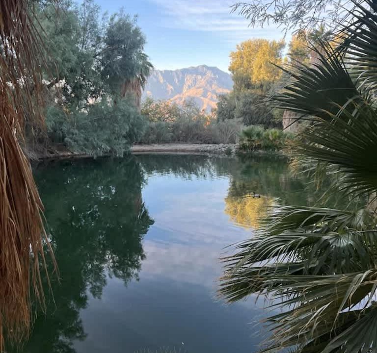 Photo of Others in Desert Hot Springs