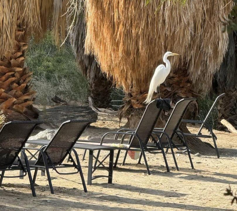 Photo of Others in Desert Hot Springs