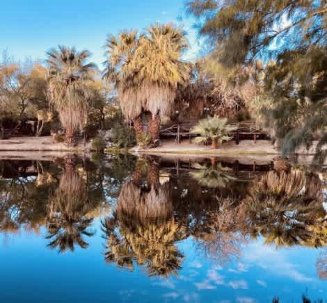 Photo of Others in Desert Hot Springs