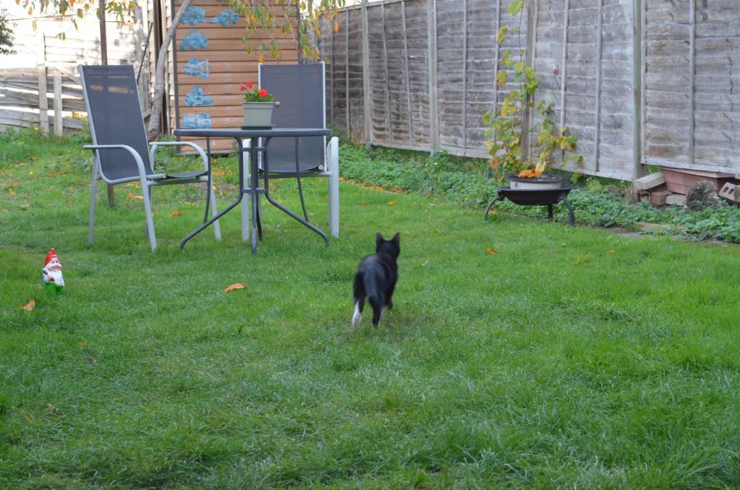 Photo of Others in Crofton Park