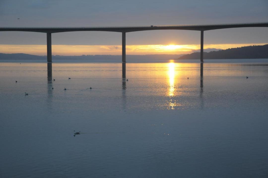 Photo of Others in Vejle