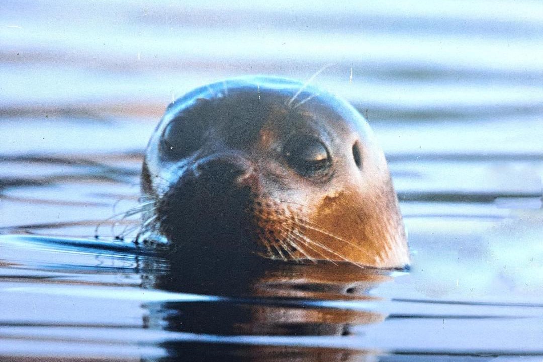 Photo of Others in Vejle