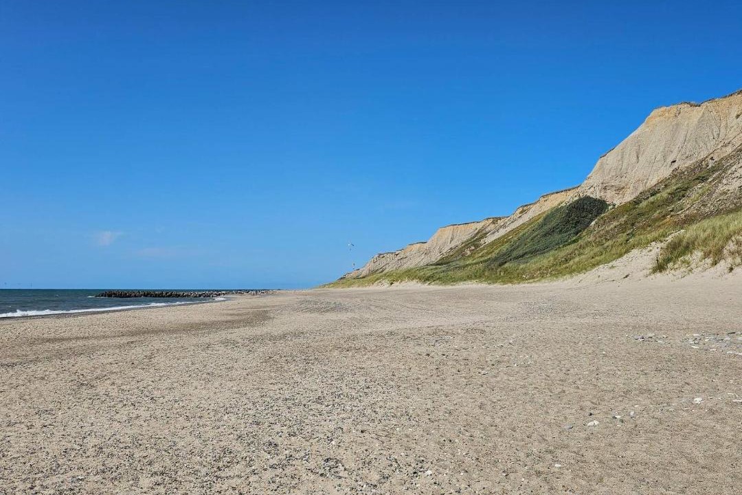 Photo of Others in Trans