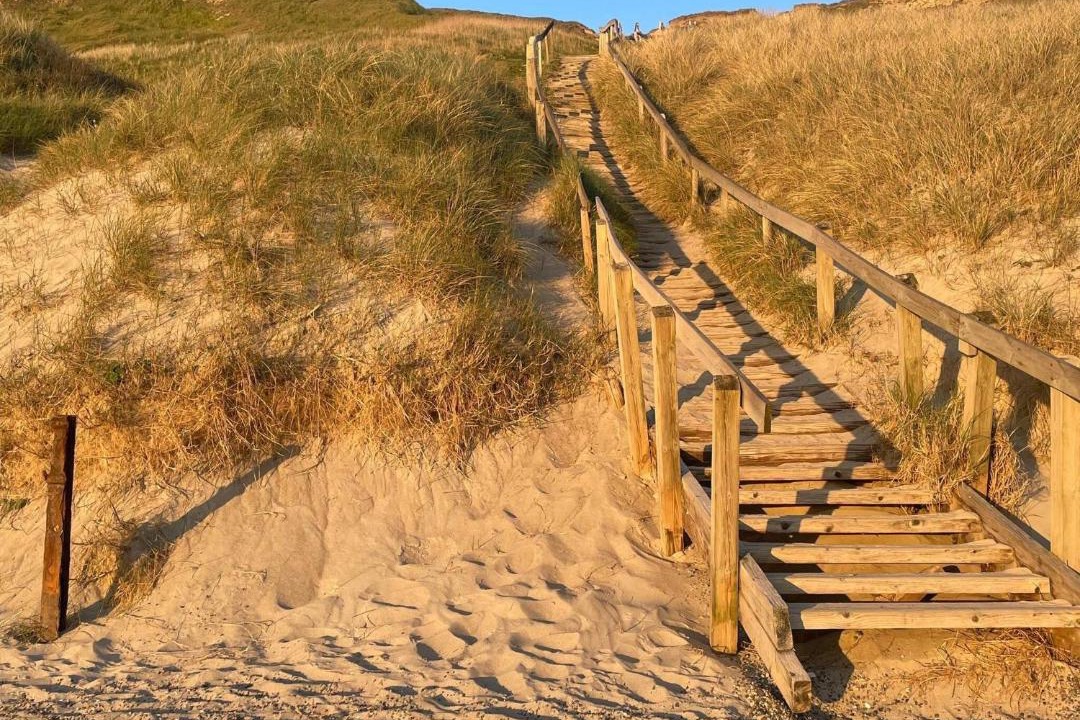 Photo of Others in Trans