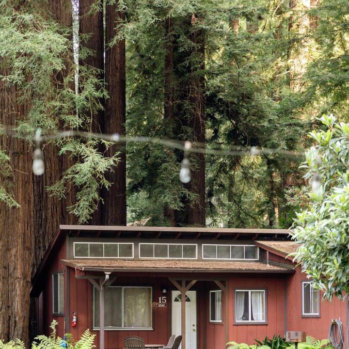 Photo of Others in Felton