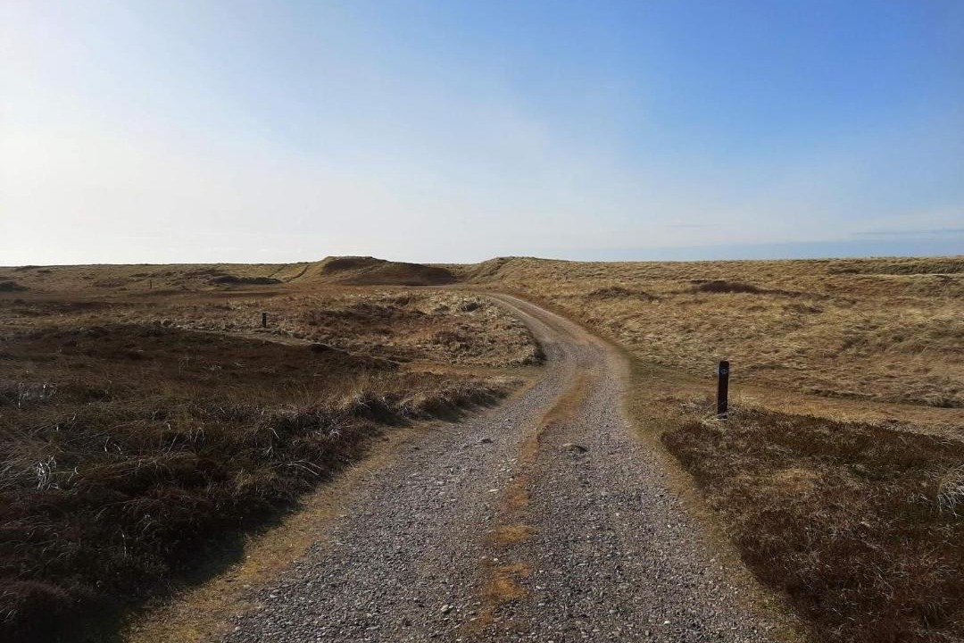 Photo of Others in Lild Strand