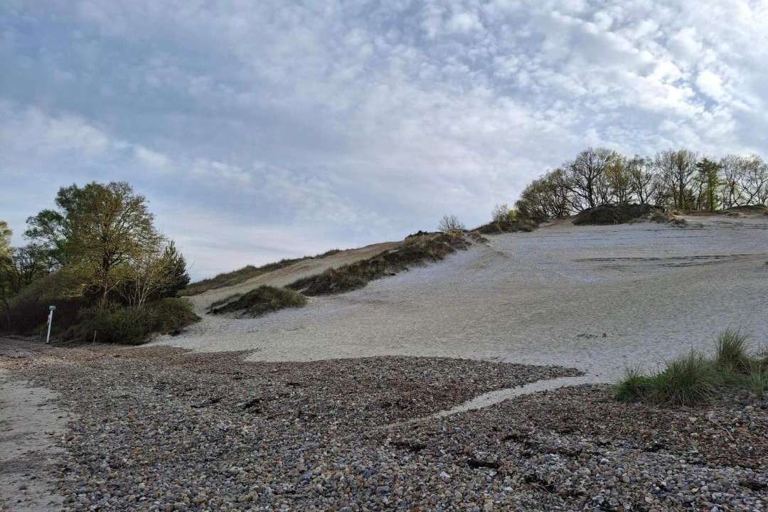 Photo of Others in Hvidbjerg Strand