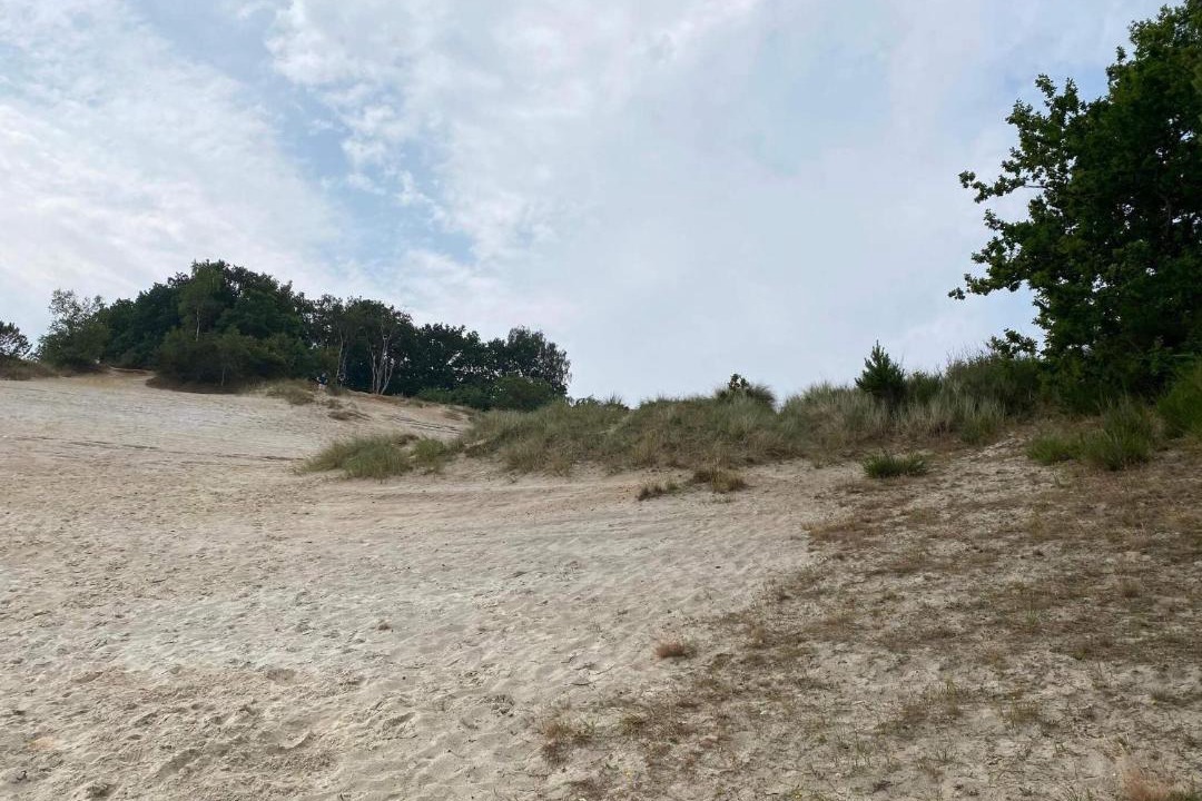 Photo of Others in Hvidbjerg Strand
