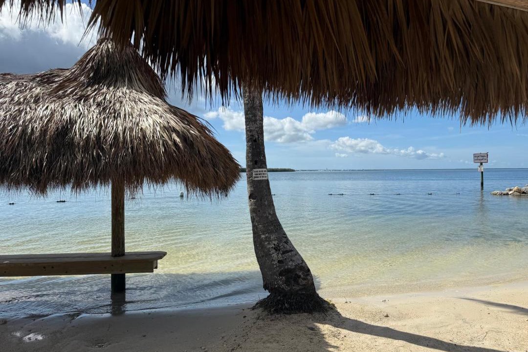 Photo of Others in Key Largo