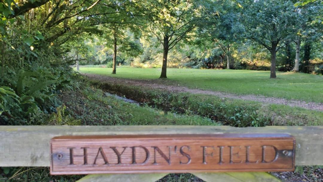 Photo of Others in Axminster