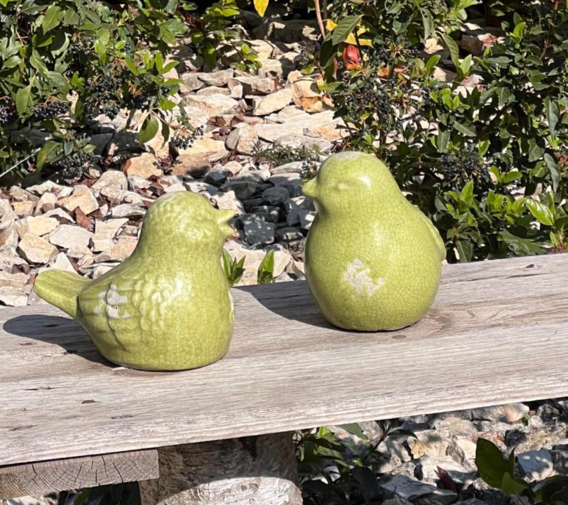 Photo of Others in Savasse