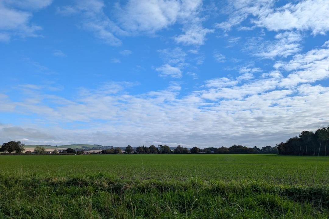 Photo of Others in East Lavant