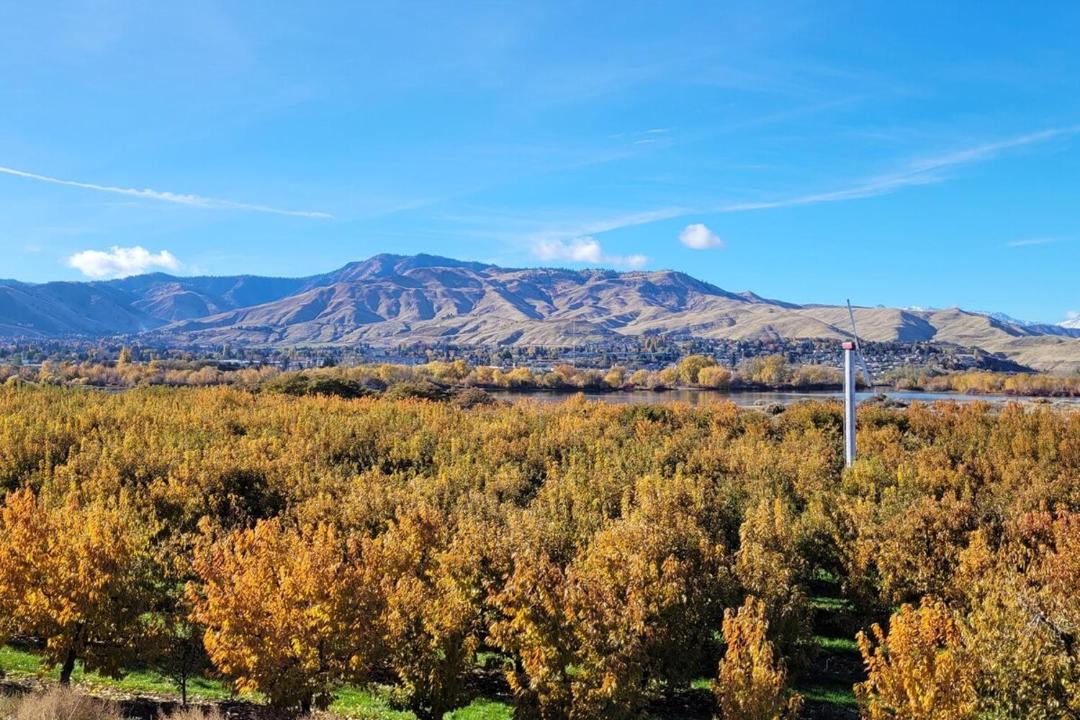 Photo of Others in Monitor