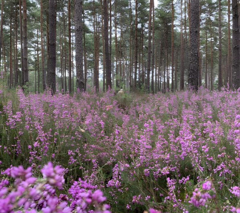 Photo of Others in Salbris