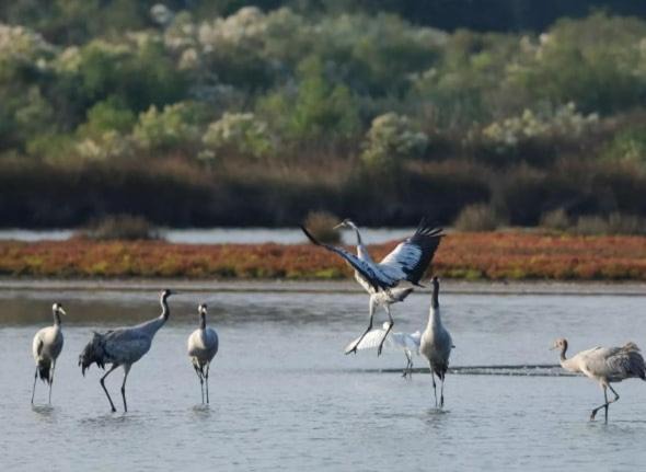 Photo of Others in Audenge