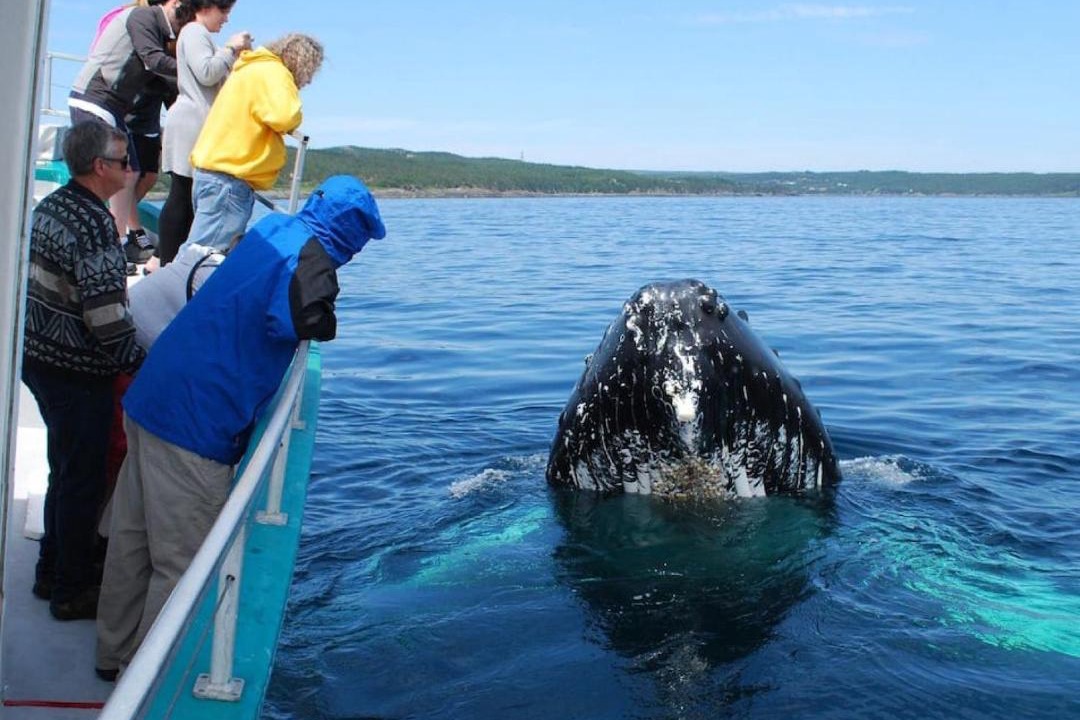 Photo of Others in Mobile