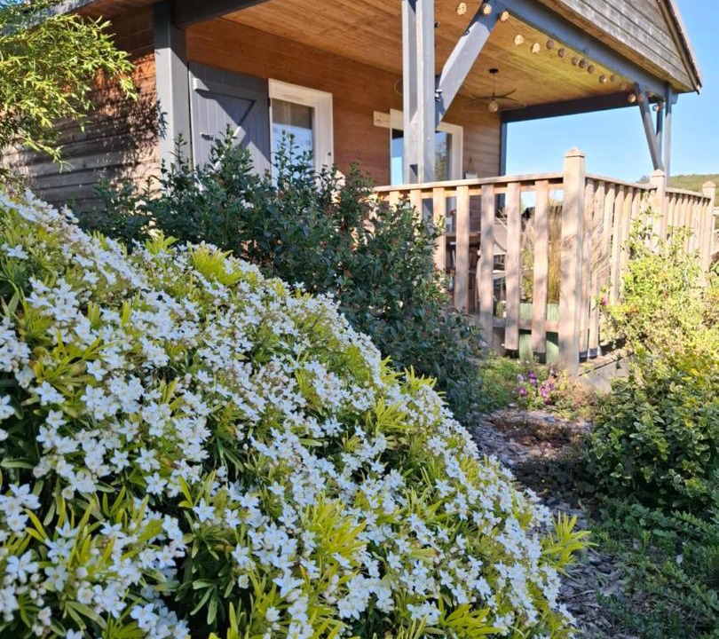 Photo of Others in Voudenay