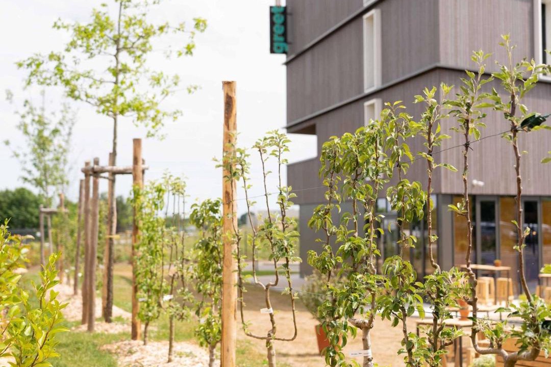 Photo of Others in Pace