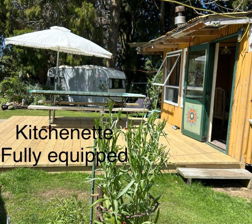 Photo of Others in Aongatete