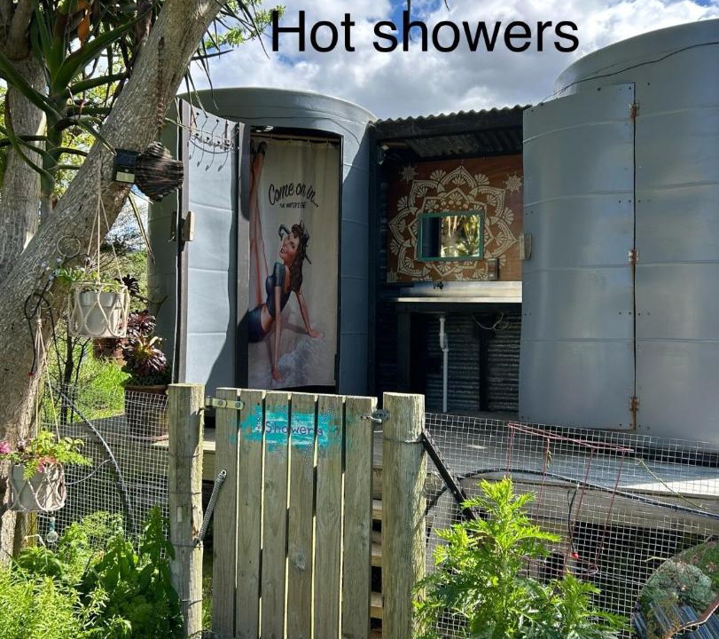 Photo of Others in Aongatete