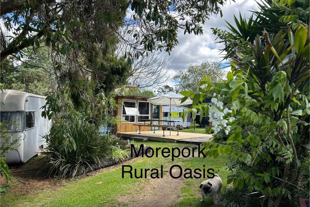 Photo of Others in Aongatete