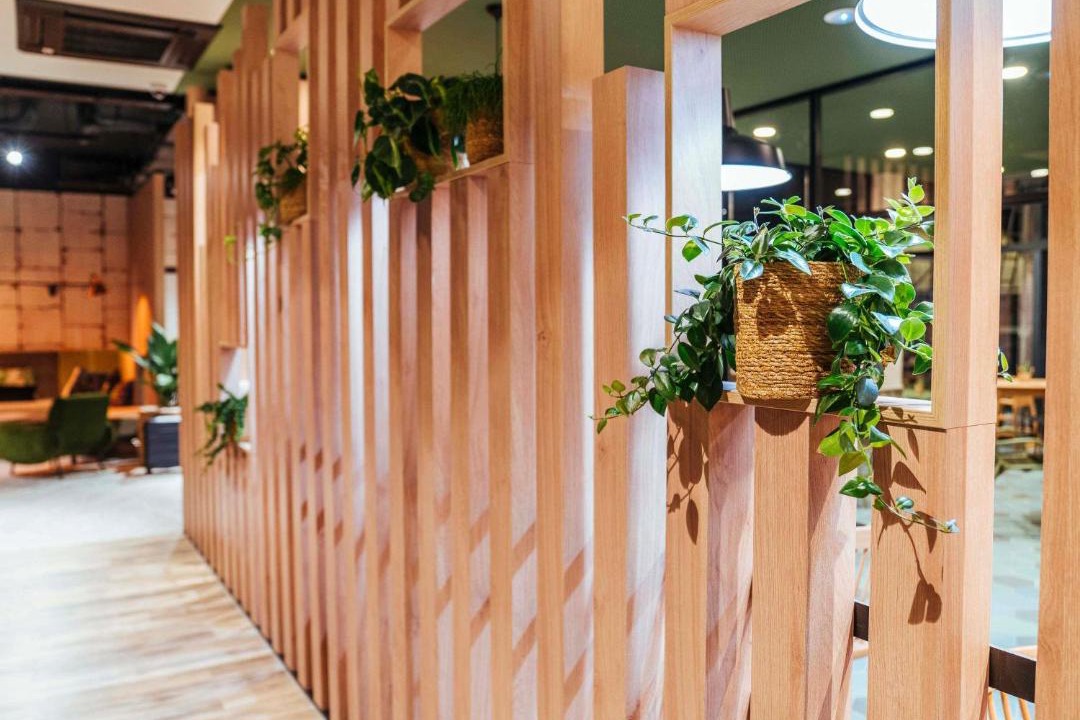 Photo of Others in Quartier Saint-Clement - Jardin des Plantes