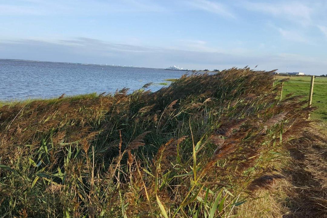 Photo of Others in Sønderstrand