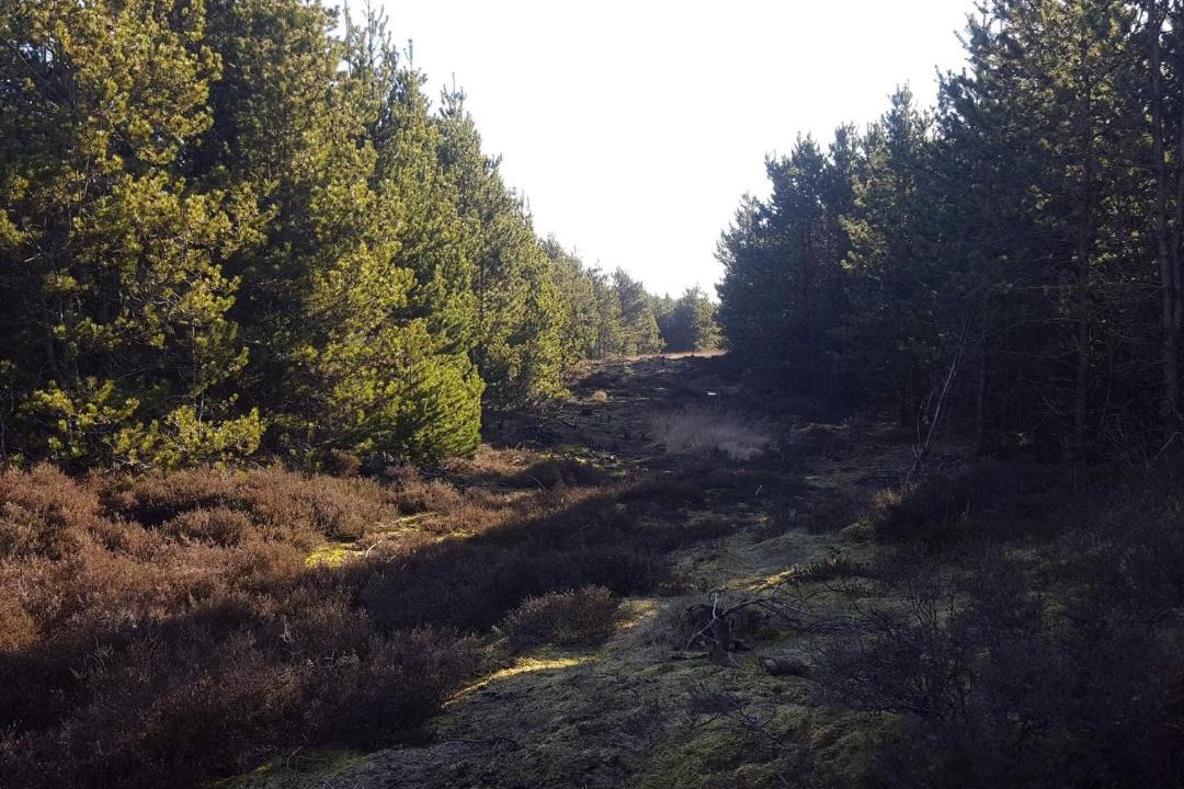 Photo of Others in Bolilmark