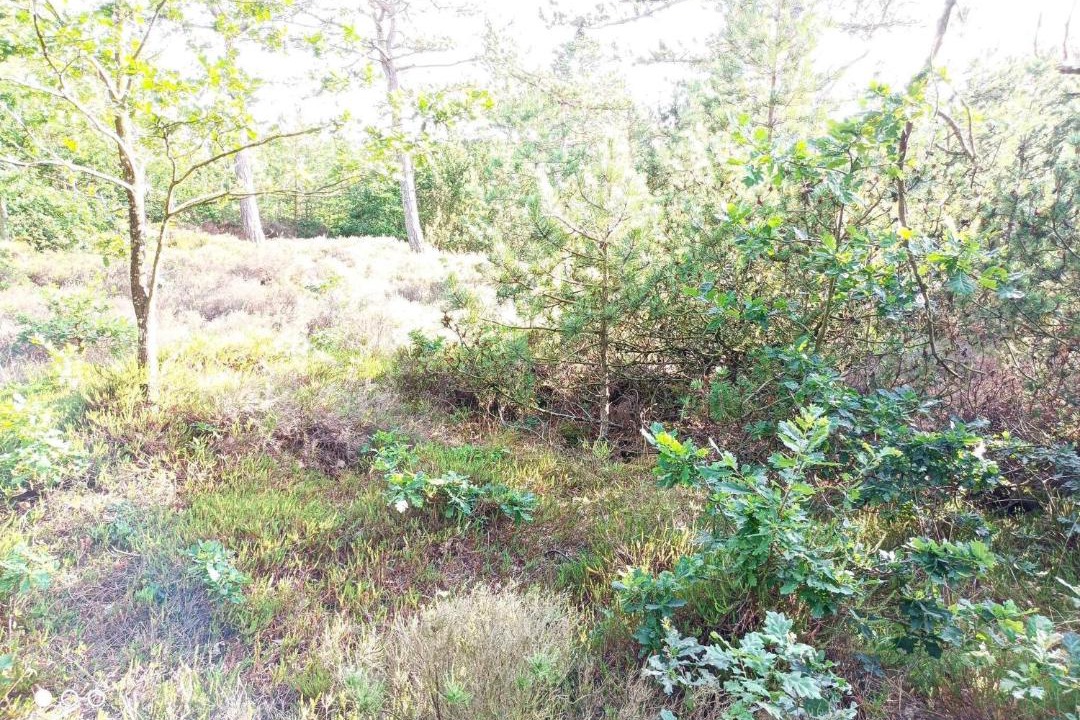Photo of Others in Bolilmark