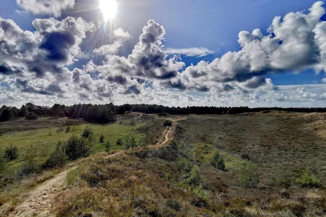 Photo of Others in Bolilmark