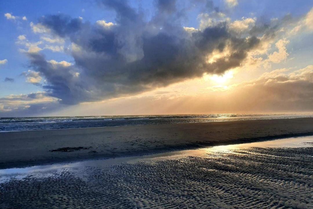 Photo of Others in Rindby Strand