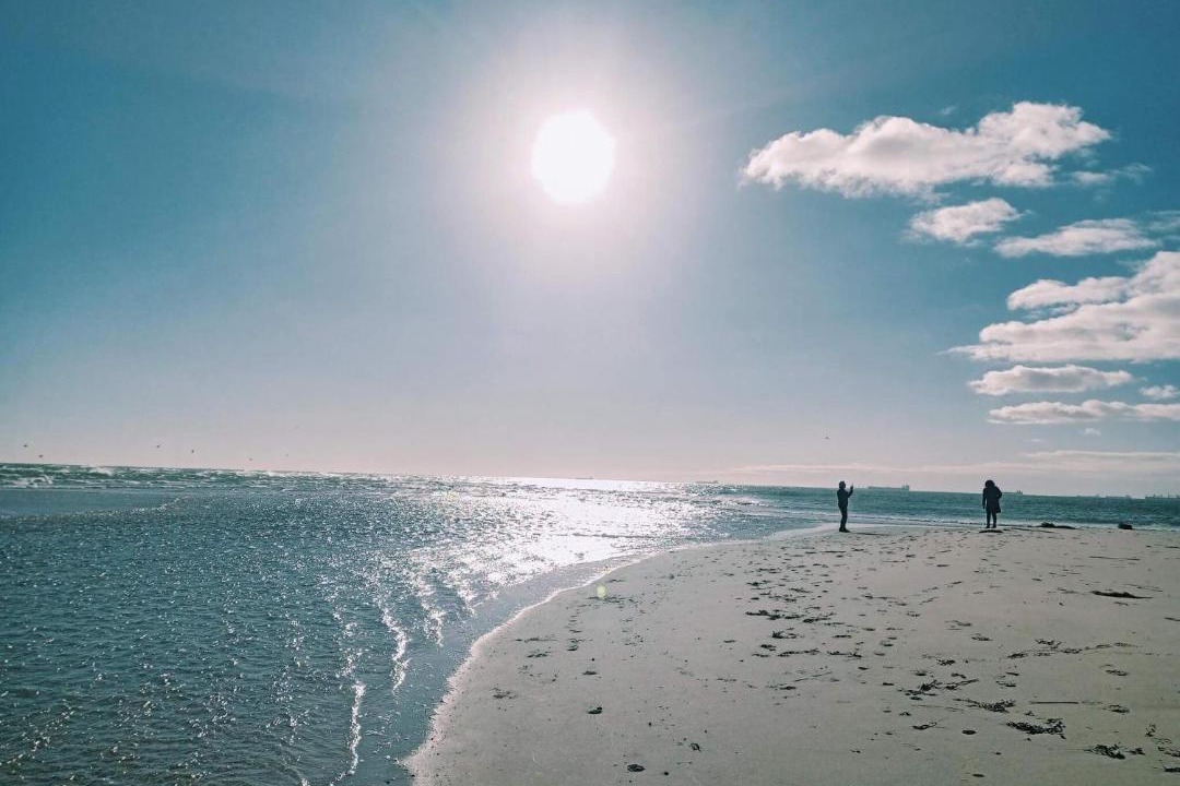 Photo of Others in Skagen