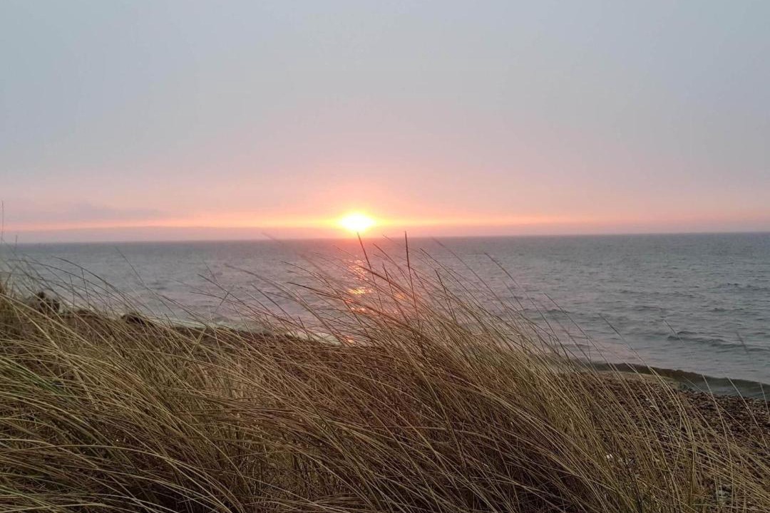 Photo of Others in Lild Strand