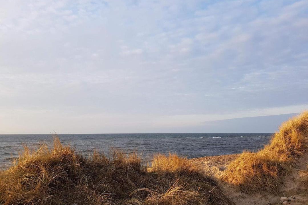 Photo of Others in Lild Strand