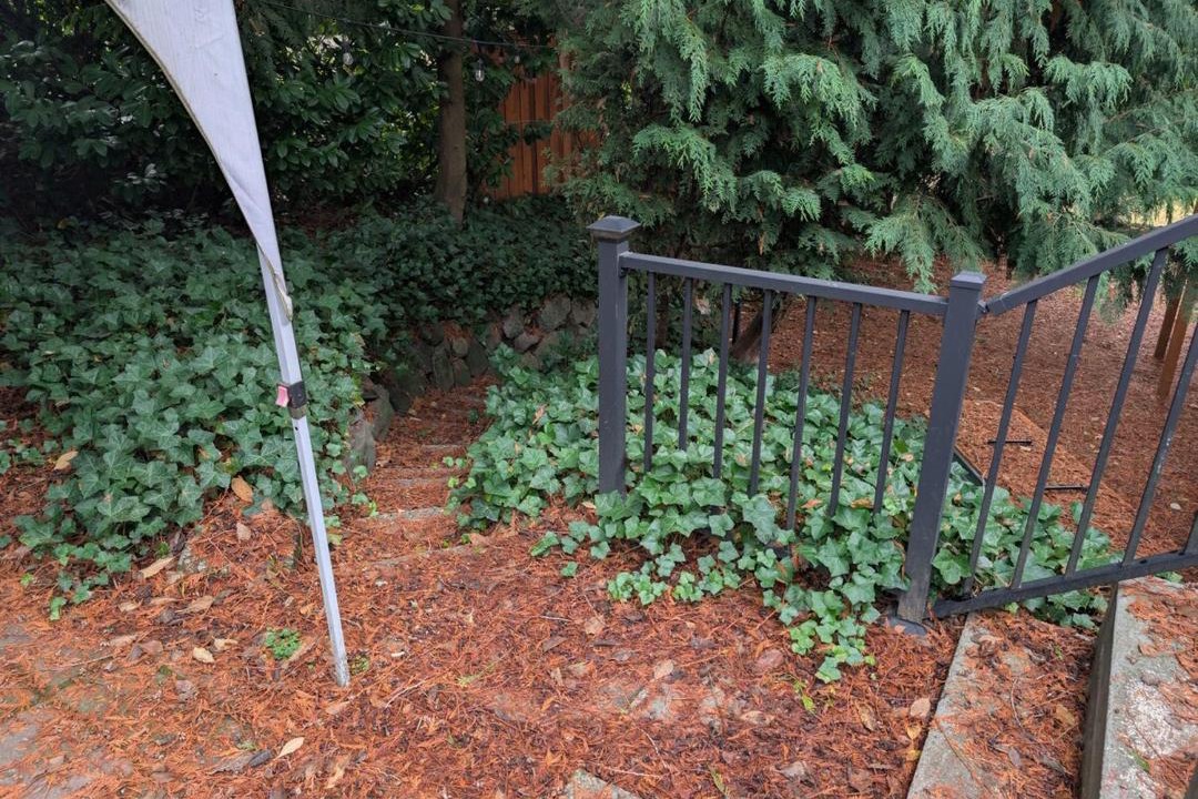 Photo of Others in Seattle Metro Area