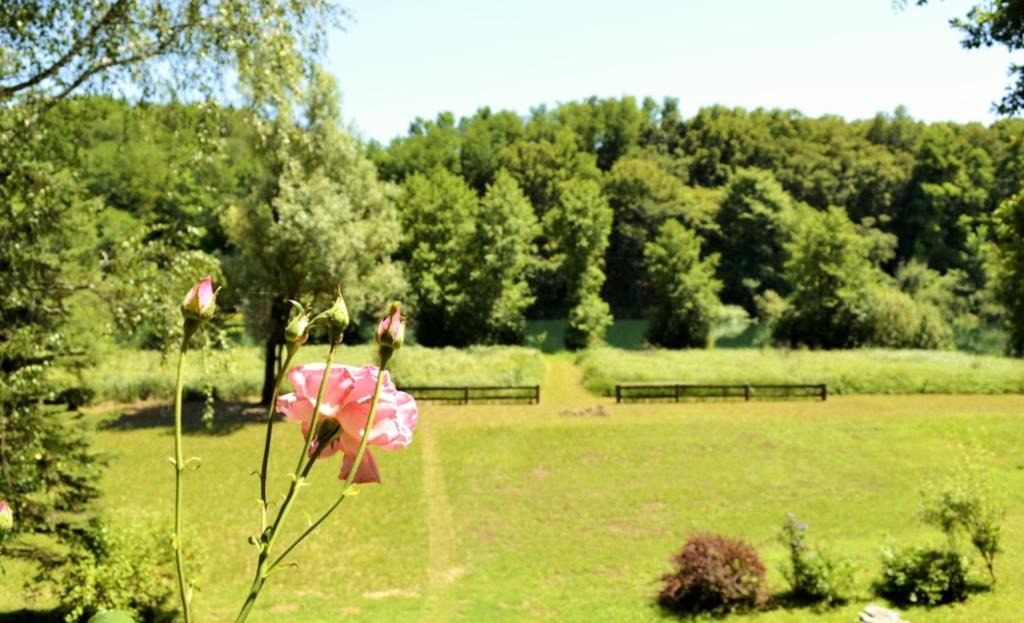 Photo of Outdoor in Duga Resa