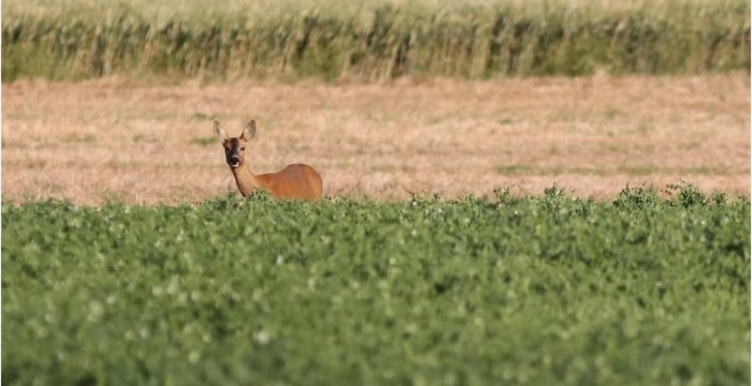 Photo of Others in Heiltz-le-Hutier