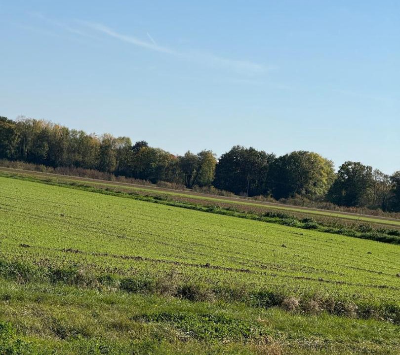 Photo of Others in Heiltz-le-Hutier